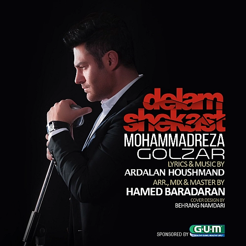 Cover artwork for Delam Shekast by Mohammadreza Golzar